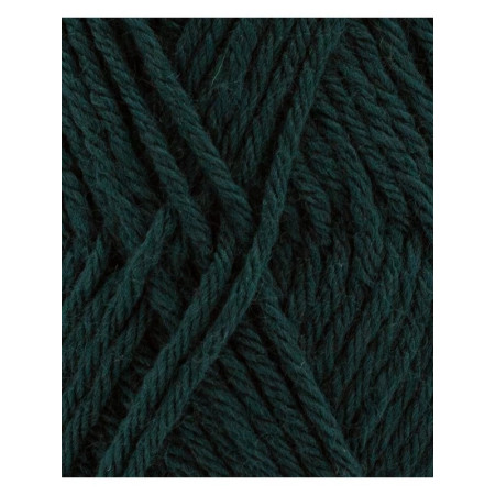 Phil Partner 3,5 Cedre