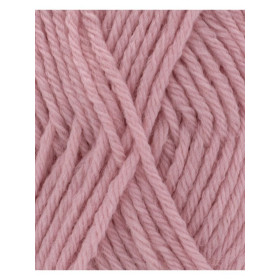 PhilPartner 3,5 Rose