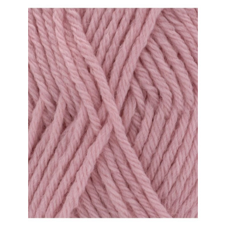 PhilPartner 3,5 Rose