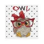 Kit de broderie Le hibou aux lunettes