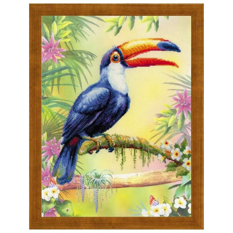 Embroidery kit Toucan