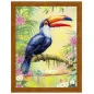 Embroidery kit Toucan