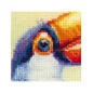 Embroidery kit Toucan
