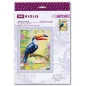 Embroidery kit Toucan