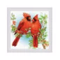 Kit de broderie Cardinal rouge