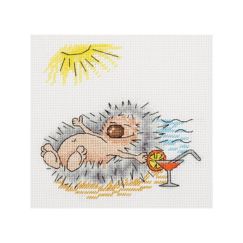 Embroidery kit  Summer Hedgehog