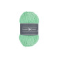 Velvet 2137 Mint