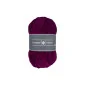 Velvet 249 Plum