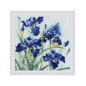 Kit de broderie Iris bleus
