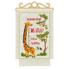 Riolis Kit de broderie Aim High
