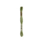 DMC Mouliné Spécial 3364