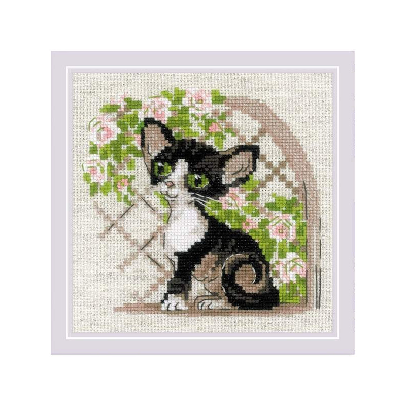 Kit de broderie Chaton Rex de Cornouailles