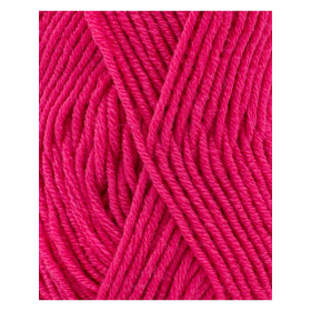 Phil Irlandais Fuchsia