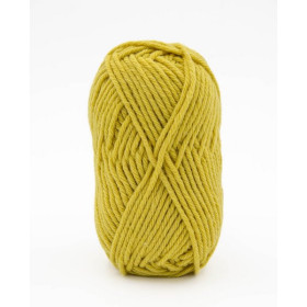 Laine à tricoter Phildar Phil Partner 6 Absinthe