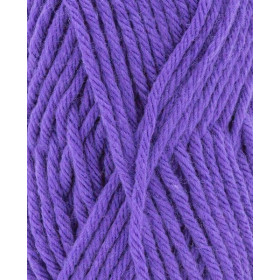 Phil Partner 6 Violet