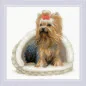 Embroidery kit Yorkshire Terrier