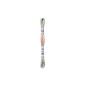 DMC Mouliné Coloris 4501