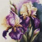 Kit de broderie Iris Burgemeister