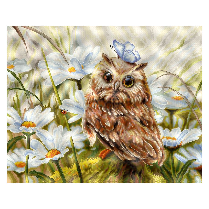 Kit de broderie Chouette chanceuse