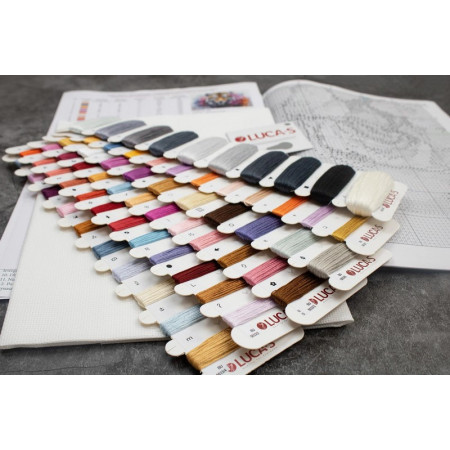 Kit de broderie Vie sauvage du prédateur