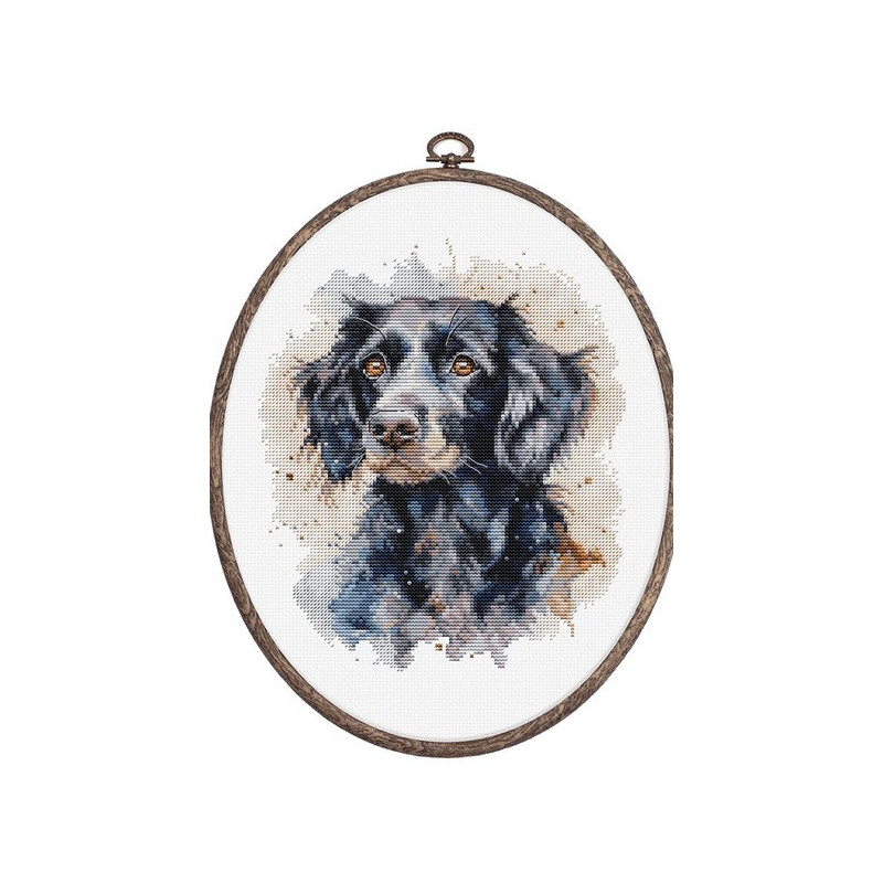 Embroidery kit Border Collie
