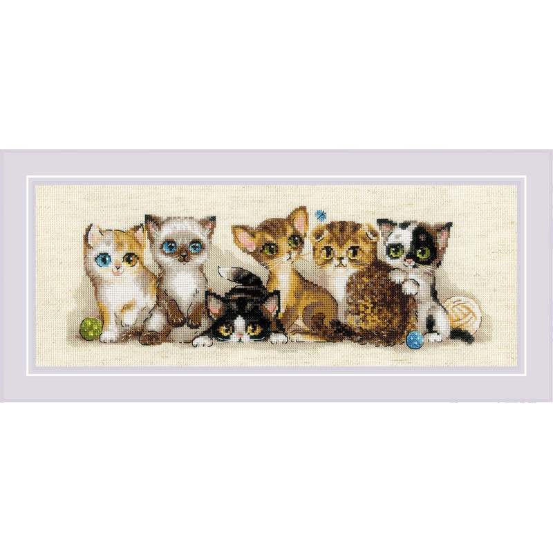 Kit de broderie Chatons