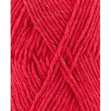 Phil Partner 3,5 Corail