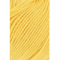 Oceania 049