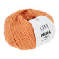 Amira Light 059