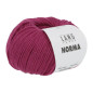 Norma 0066