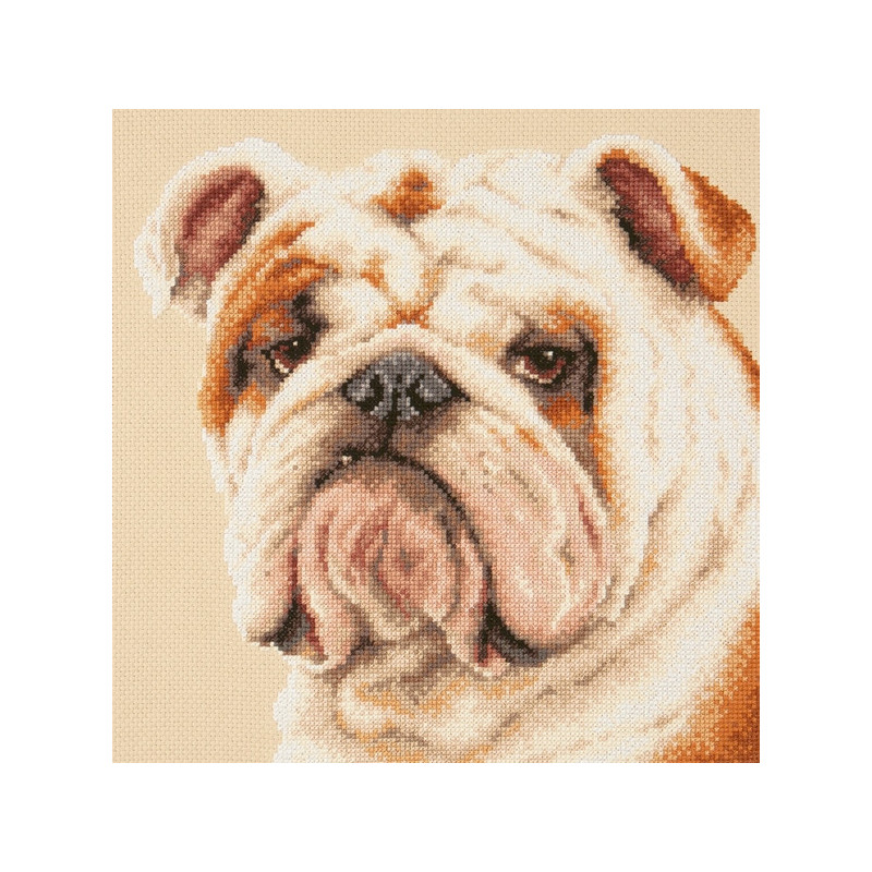 Kit de broderie Bouledogue Kit de broderie Bouledogue