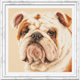 Kit de broderie Bouledogue