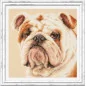 Kit de broderie Bouledogue Kit de broderie Bouledogue