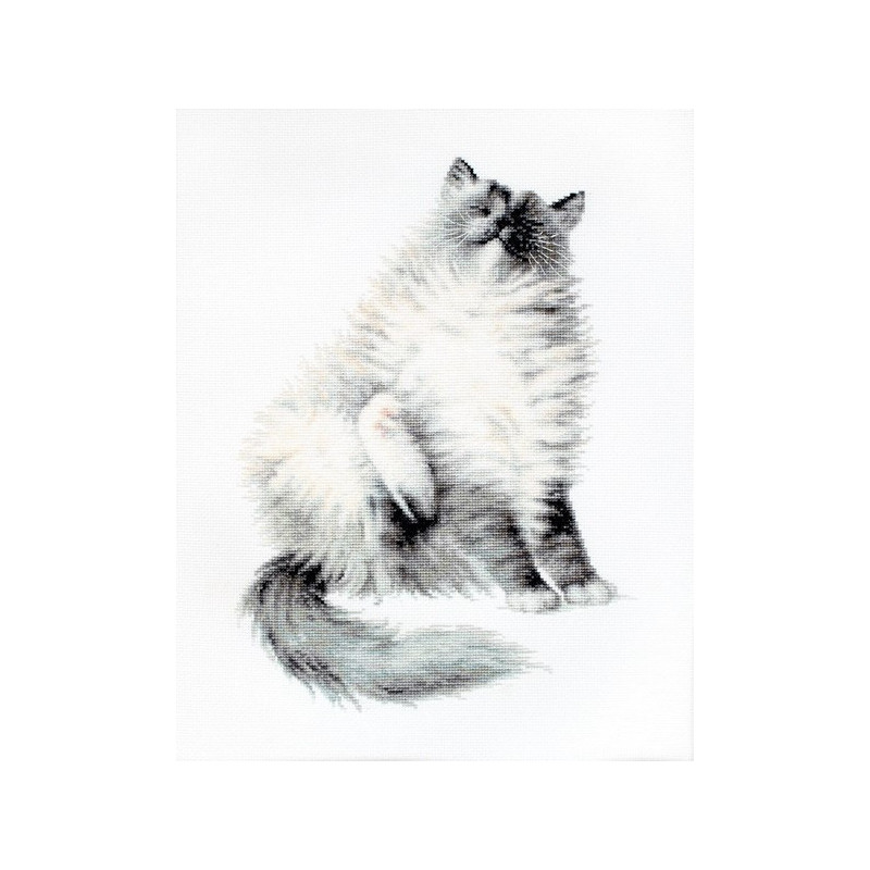 Kit de broderie Micky