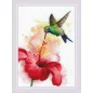 Embroidery kit Hummingbird