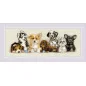 Kit de broderie Chiots Kit de broderie Chiots