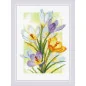 Kit de broderie Crocus à la lueur printanière