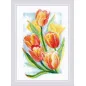 Embroidery kit Spring Glow Tulips