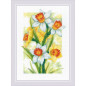 Kit de broderie Jonquilles éclat printanier