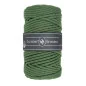 Braided  2170 Tea Green