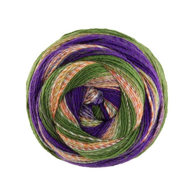 Gomitolo Fusione 2027 Gomitolo Fusione 2027