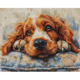 Kit de broderie Cocker Spaniel