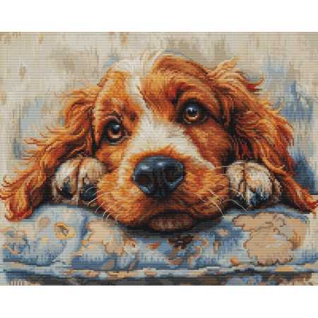 Kit de broderie Cocker Spaniel