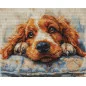 Embroidery kit Cocker Spaniel