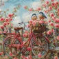 Kit de broderie Vélo avec des roses