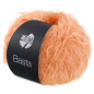 Basta 06 Apricot