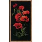 Kit de broderie Coquelicots