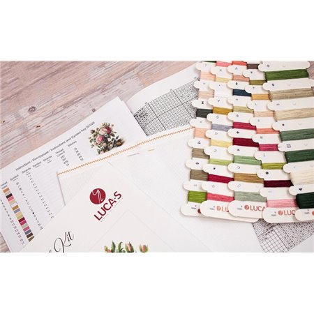 Kit de broderie Vase avec des roses