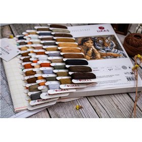 Kit de broderie La princesse indienne et le tigre royal