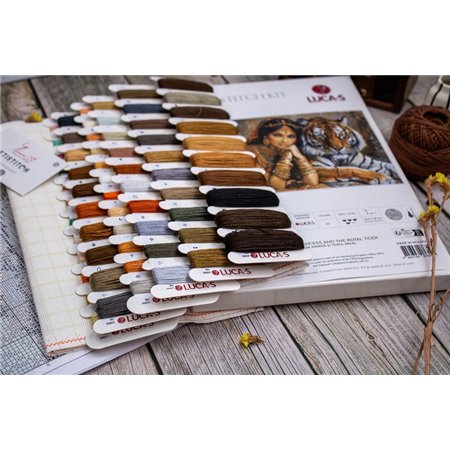 Kit de broderie La princesse indienne et le tigre royal